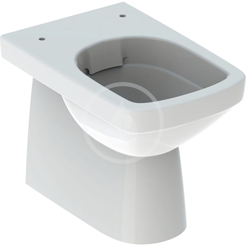Geberit Stojace WC, 530x355 mm, Rimfree, biela 500.153.01.1