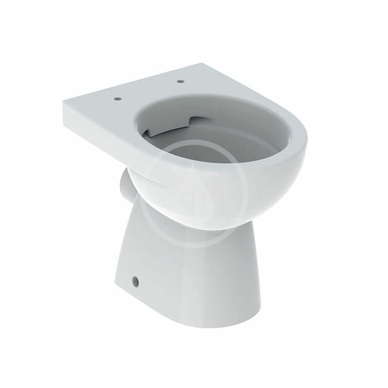 Geberit Stojace WC, 490x352 mm, Rimfree, biela 500.480.01.7
