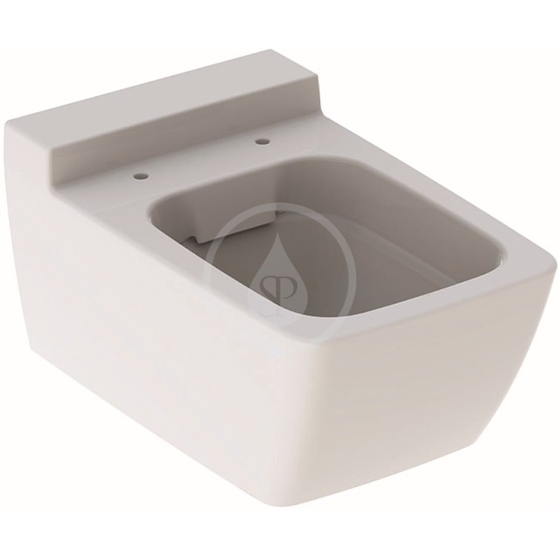 Geberit Xeno 2 - Závesné WC bez splachovacieho kruhu, 540 mm x 350 mm, biele (500.500.01.1)