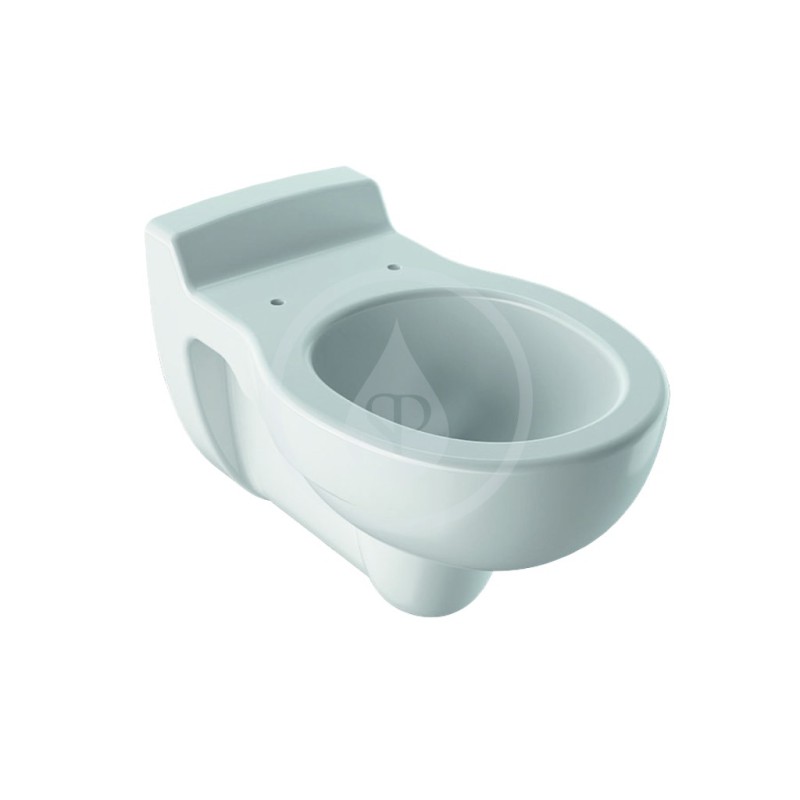 Geberit Kind - Závesné detské WC, 330 mm x 535 mm, biele - klozet (201700000)
