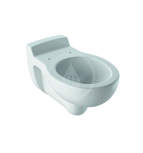 Geberit Kind - Závesné detské WC, 330 mm x 535 mm, biele - klozet (201700000)